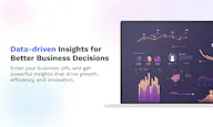 BizIntel