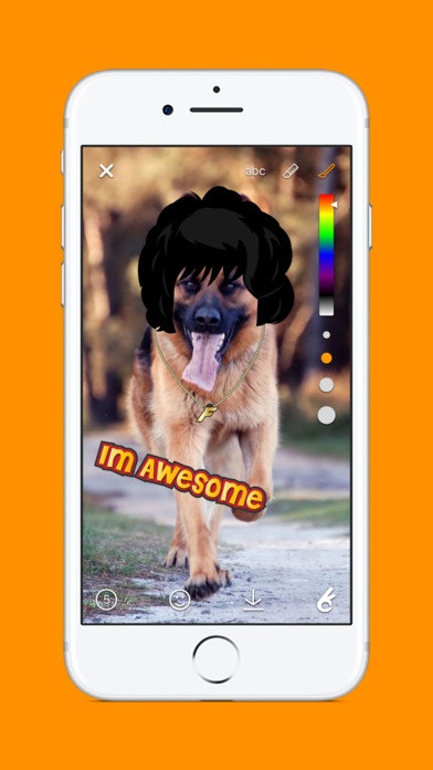 Flickpic gallery image