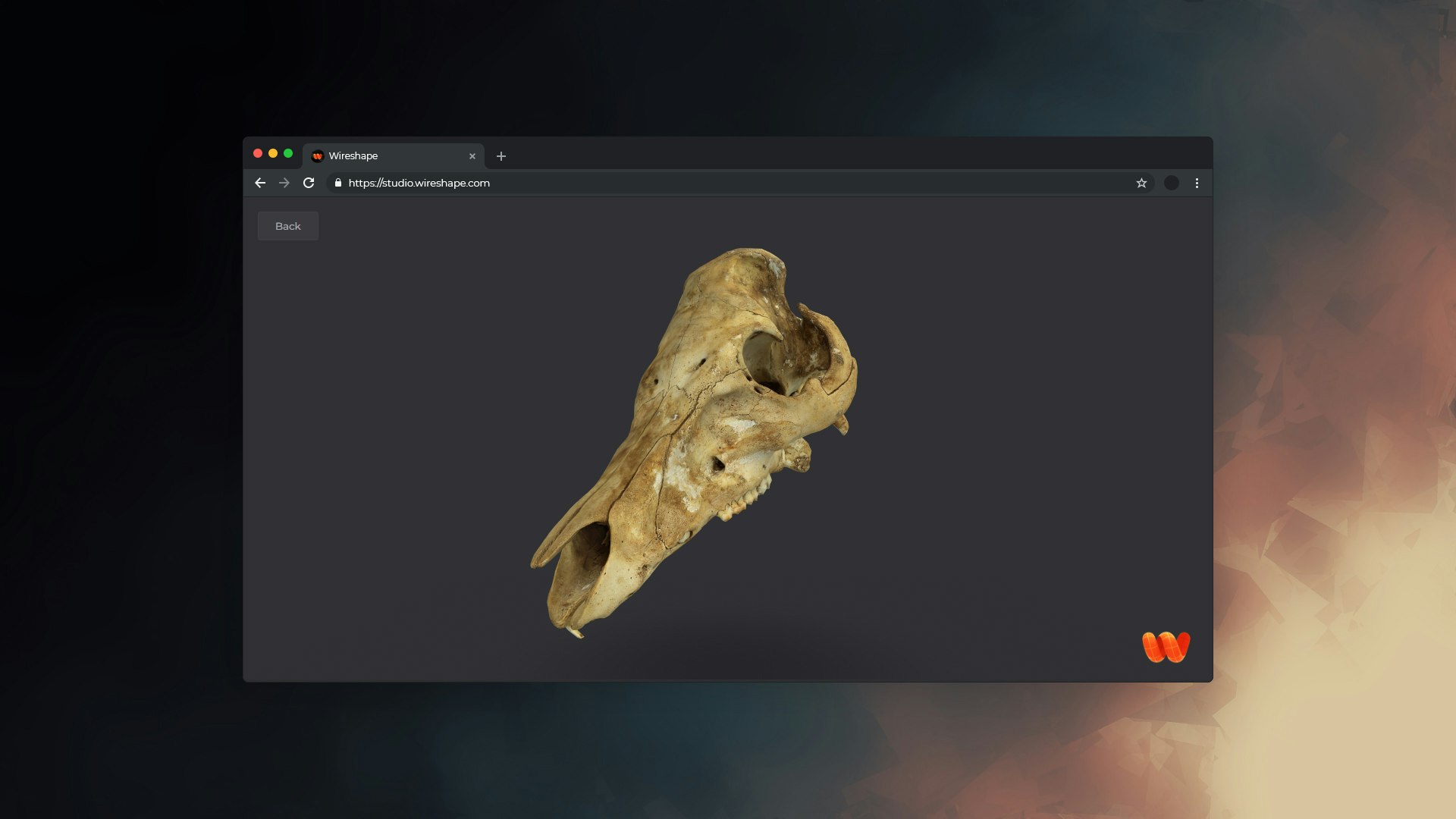 Wireshape Studio Beta - Web3 3D Scan NFT Platformu Metaverse & Game Creators'a yardımcı olmak için medya 4