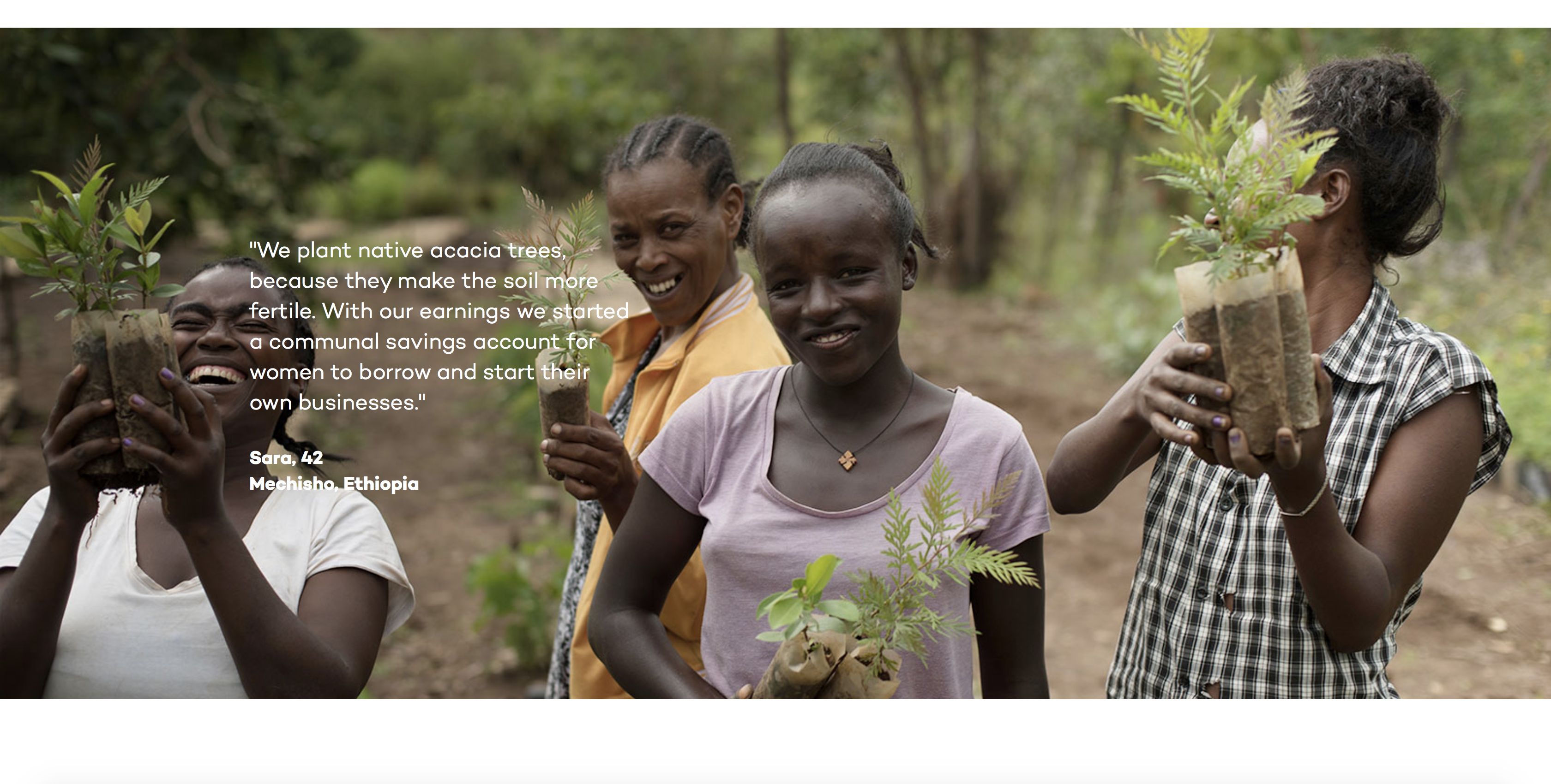 Ecosia gallery image