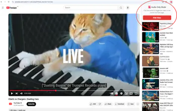 YouTube Audio Only gallery image