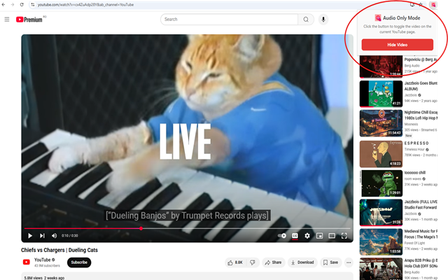 Mídia 2 de Apenas áudio do YouTube - Bloqueie a reprodução de vídeo no YouTube