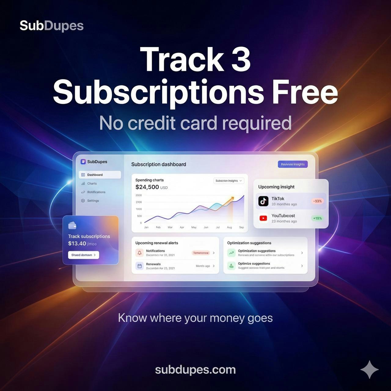 SubDupes media 3