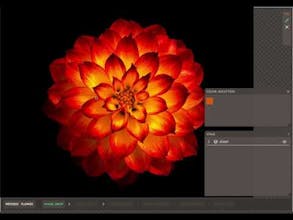 Textile Color Separation gallery image