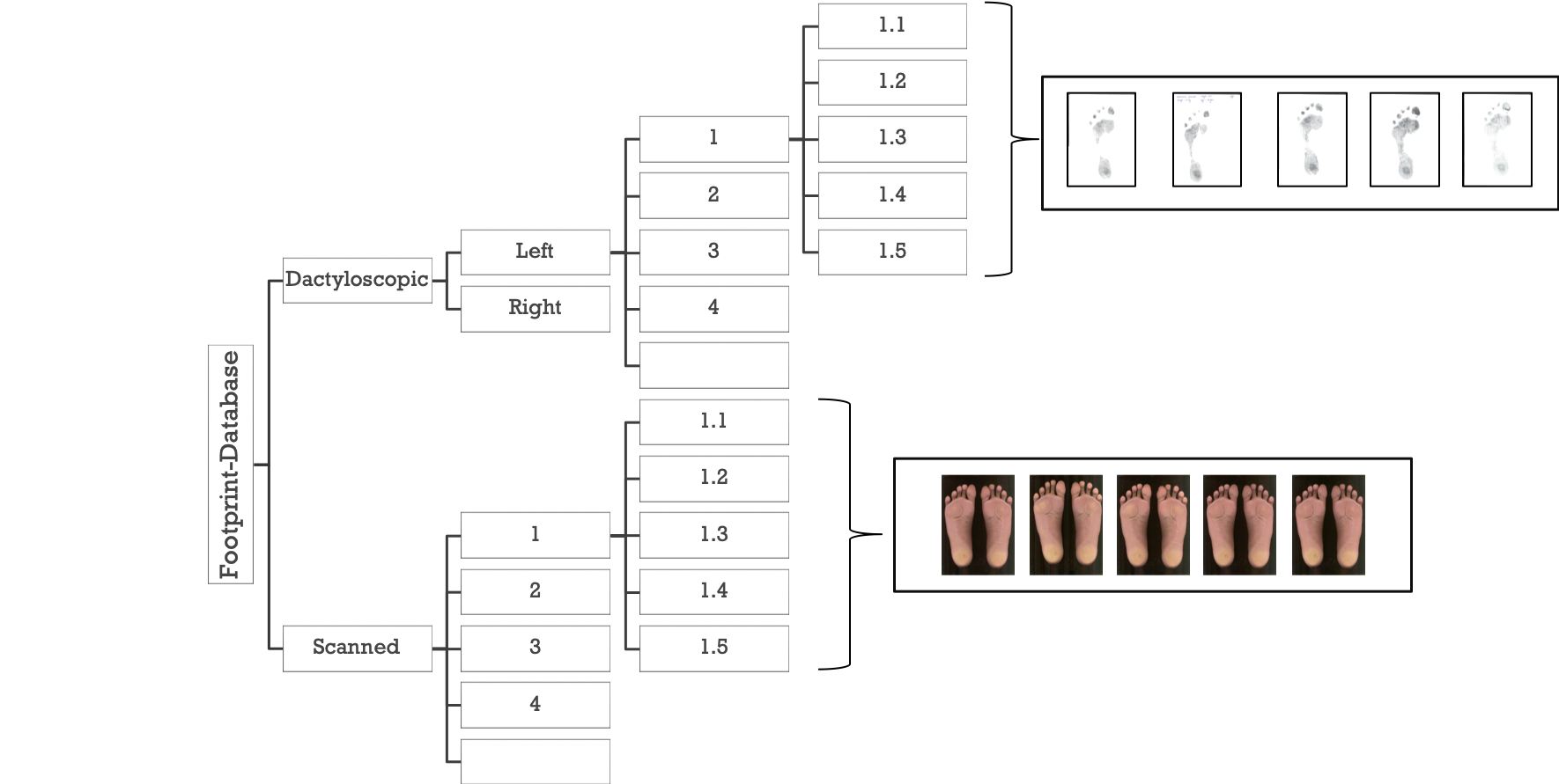 Footprint Database gallery image