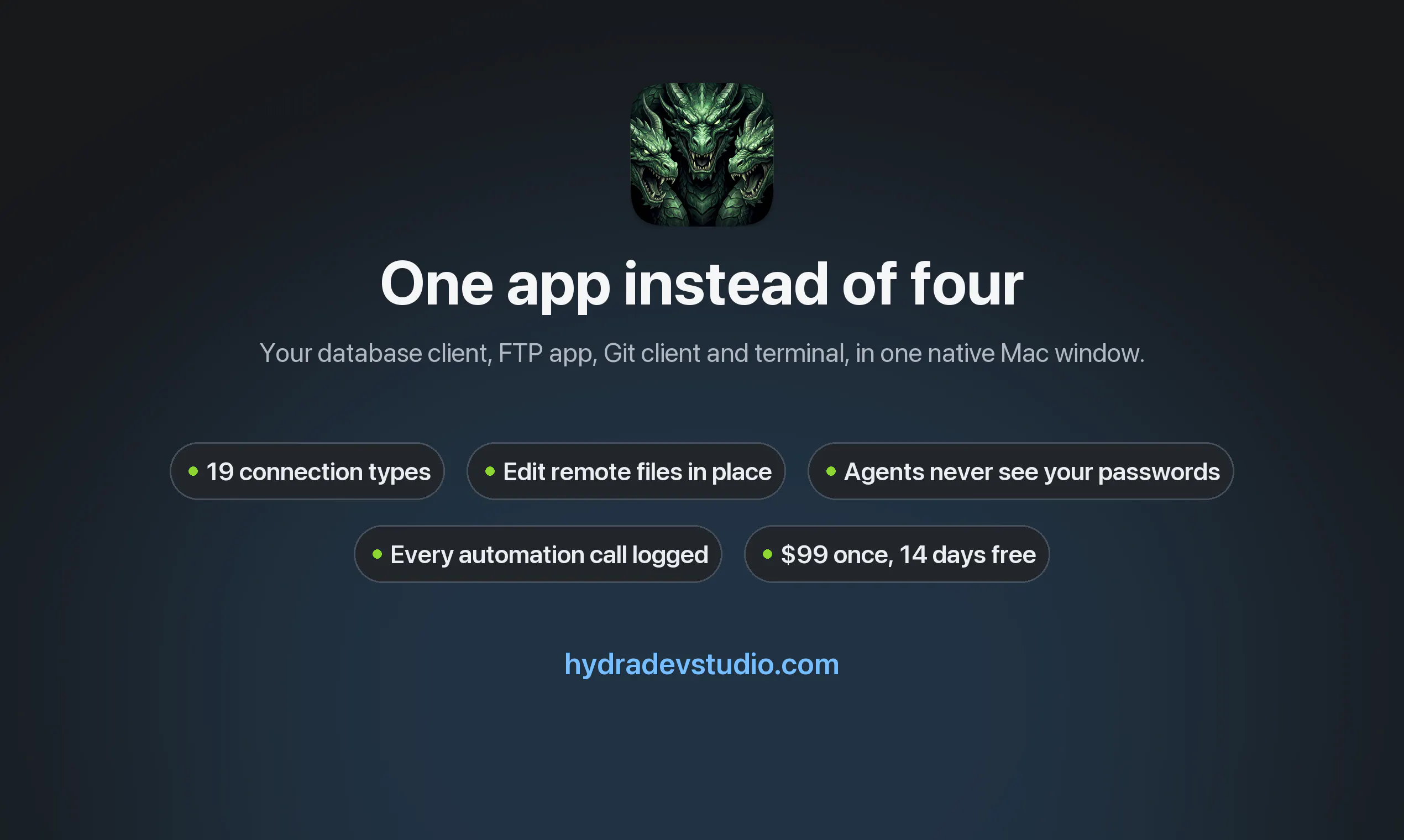 Hydra Dev Studio gallery image
