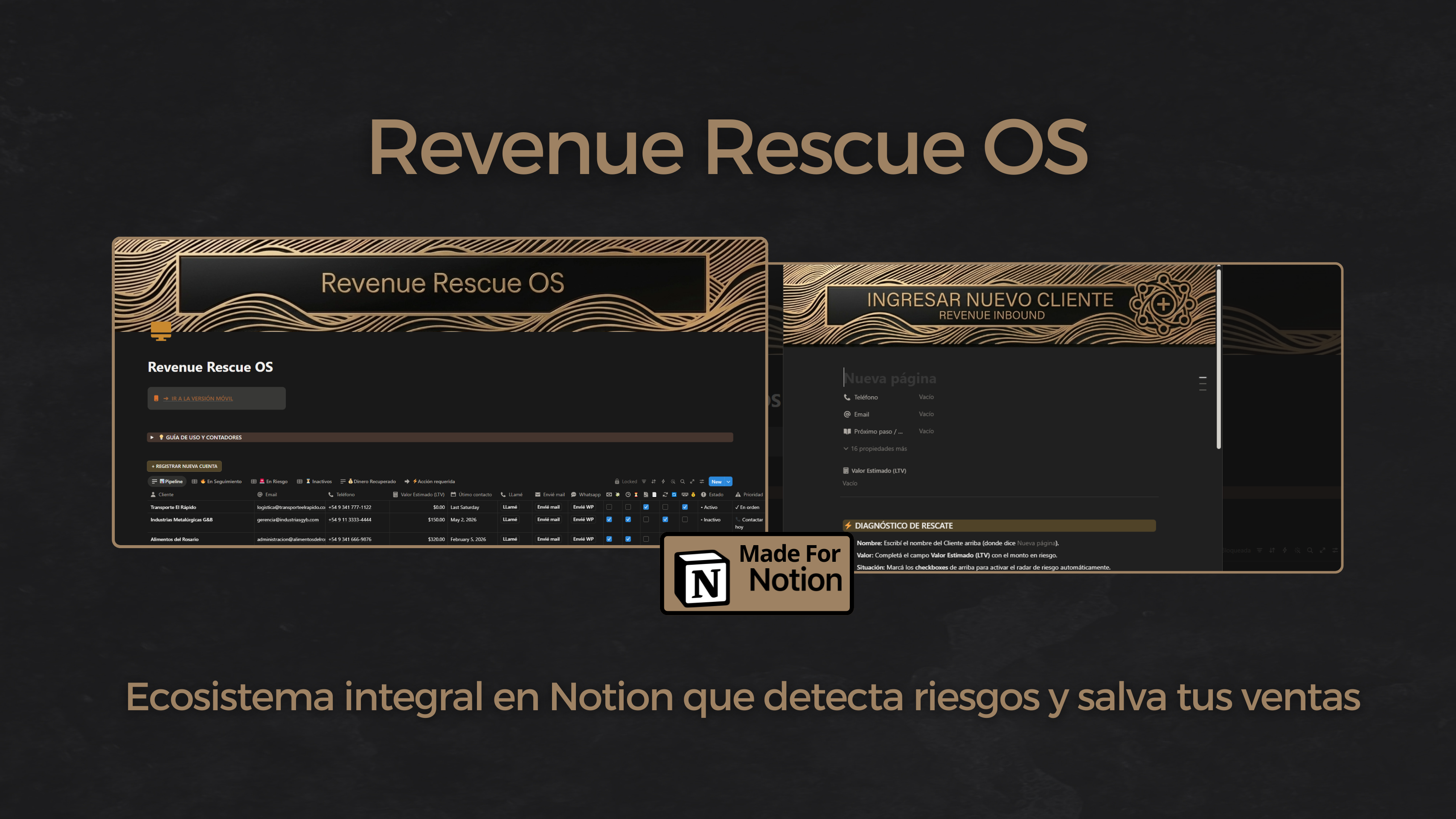 Revenue Rescue OS gallery image