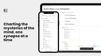 Brain Atlas gallery image