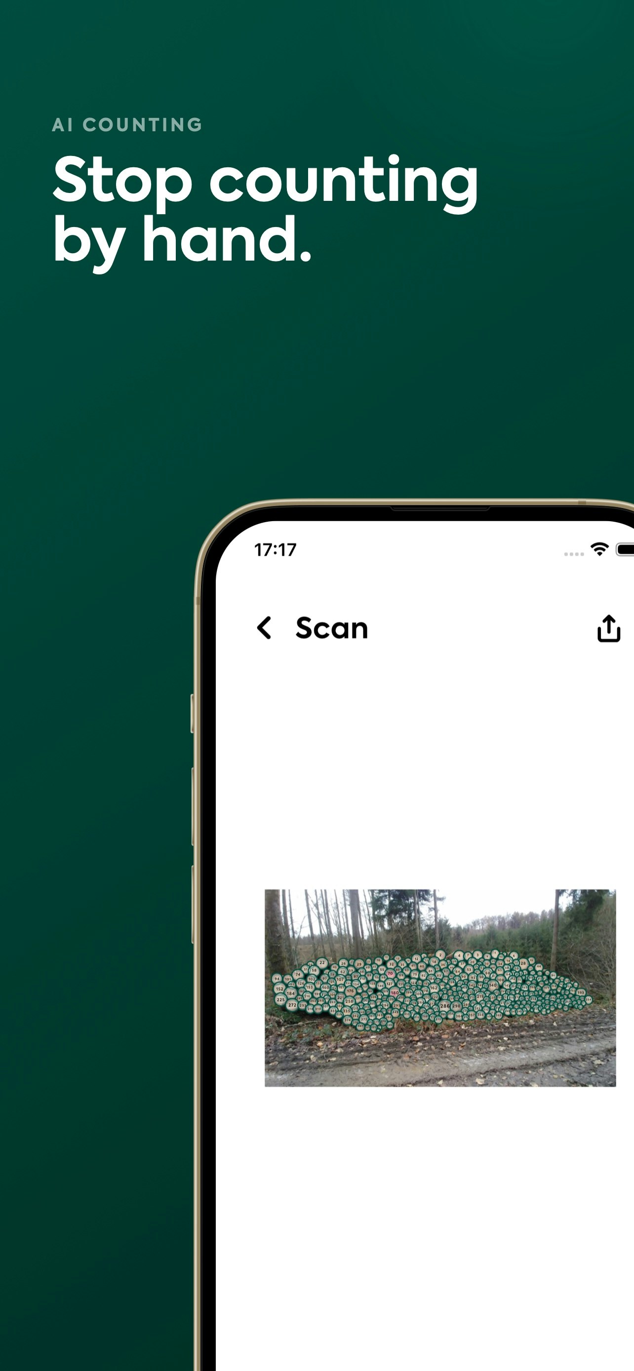 PhotoCount gallery image