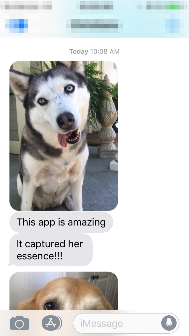 Wagcam 1.5 gallery image