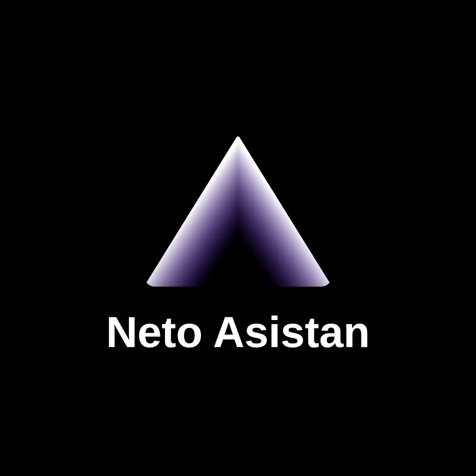 Neto Asistant screenshot 2