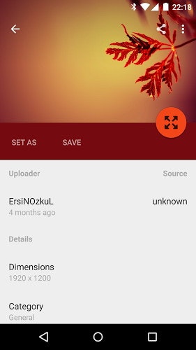 TAP! gallery image