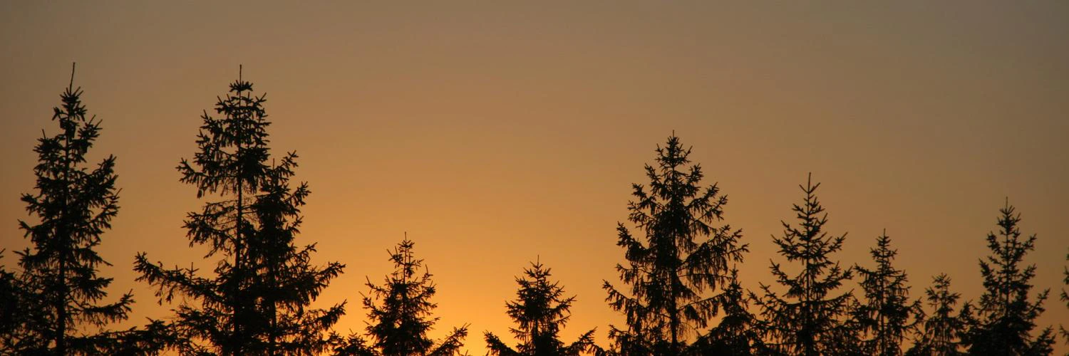 Erika Hokanson 🐕 cover