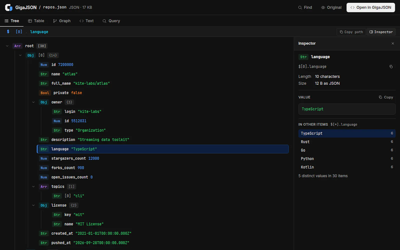 GigaJSON screenshot 2