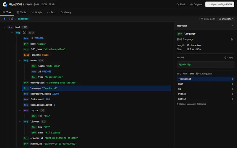 GigaJSON screenshot 2