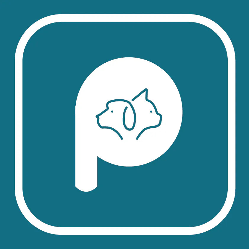 Pawpie