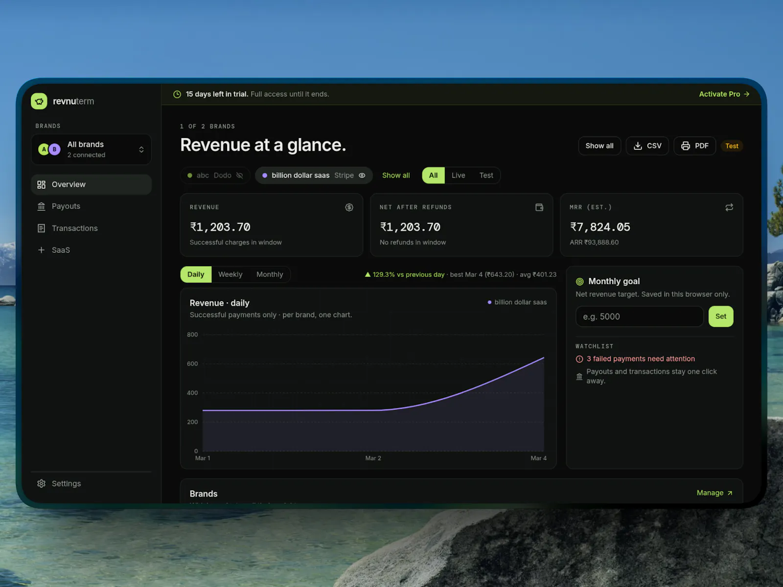 revnuterm screenshot 2