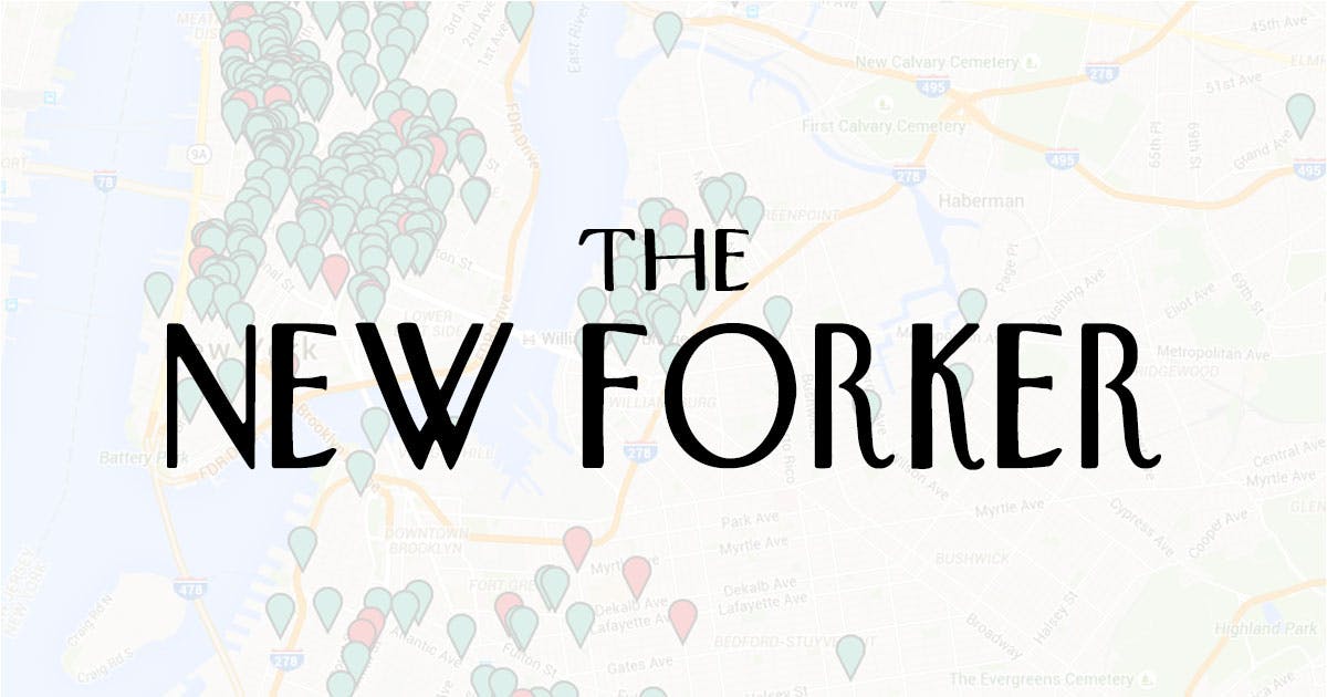 The New Forker media 2