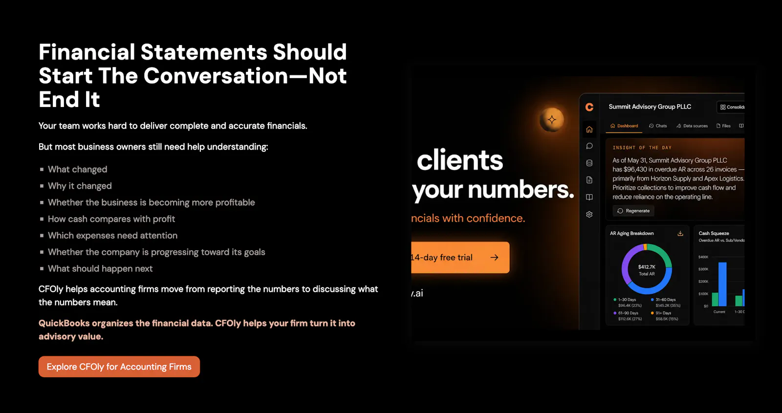CFOly.ai screenshot 3