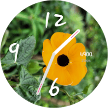 Stock Watch Face gallery image