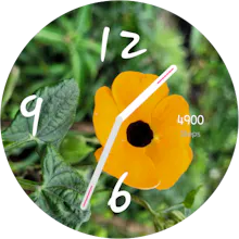 Stock Watch Face gallery image