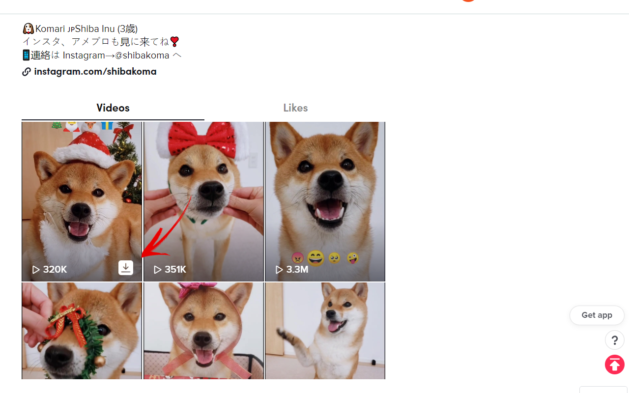 Video downloader for TikTok gallery image