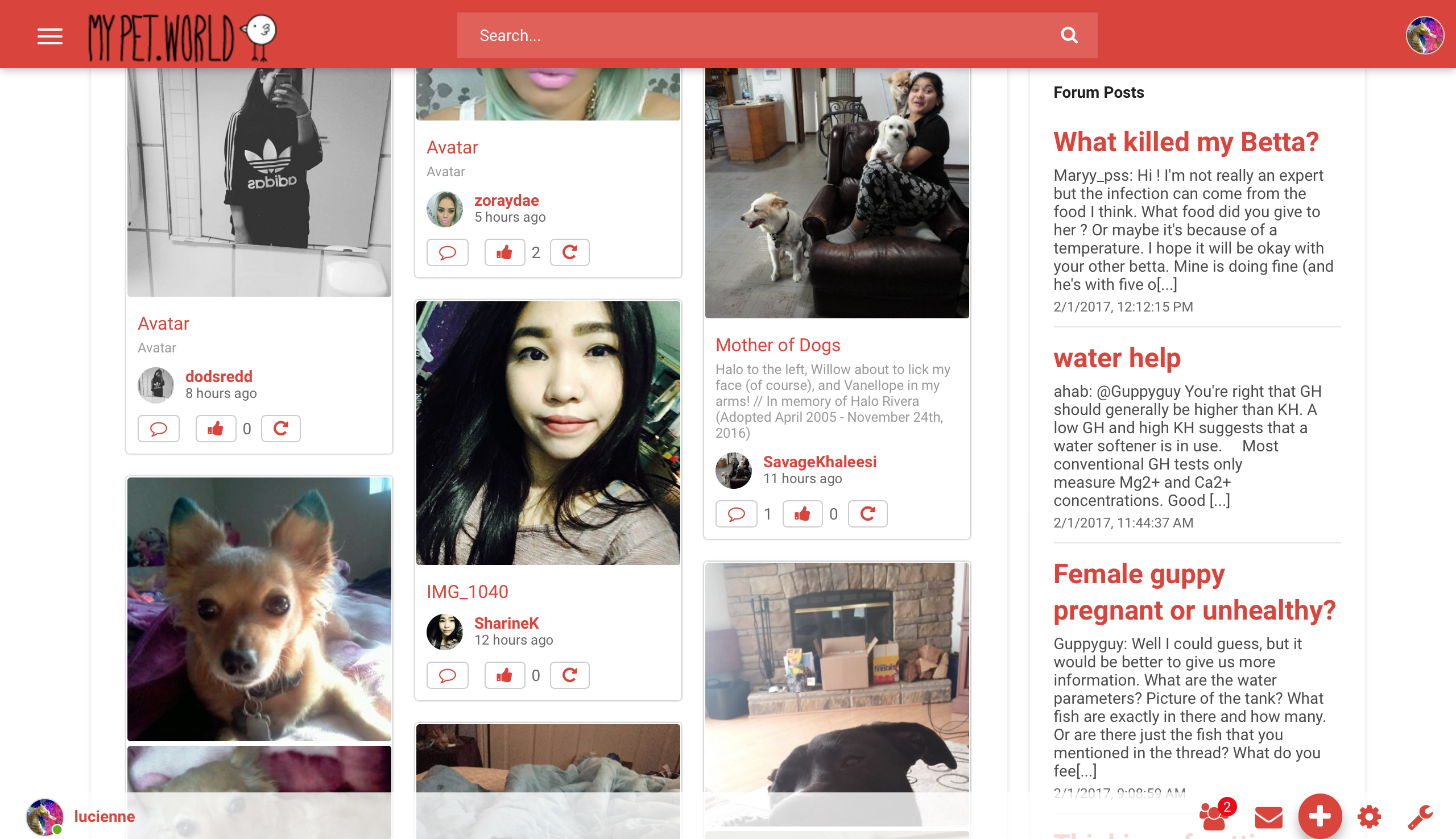 My Pet World gallery image