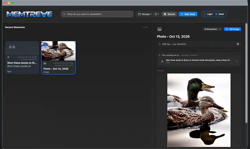 MEMTREVE — A place for everything. screenshot 2