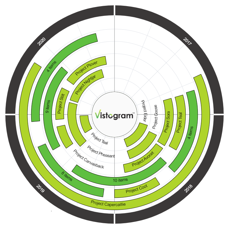 Vistogram media 2