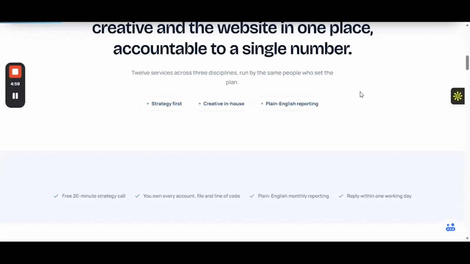 The AdsEagle screenshot 1 (video preview)