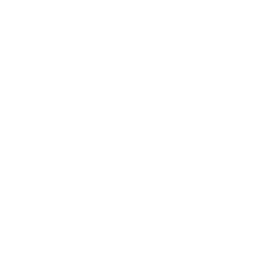 Browser Media Controls