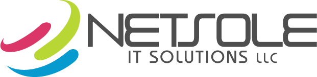 Netsole IT gallery image