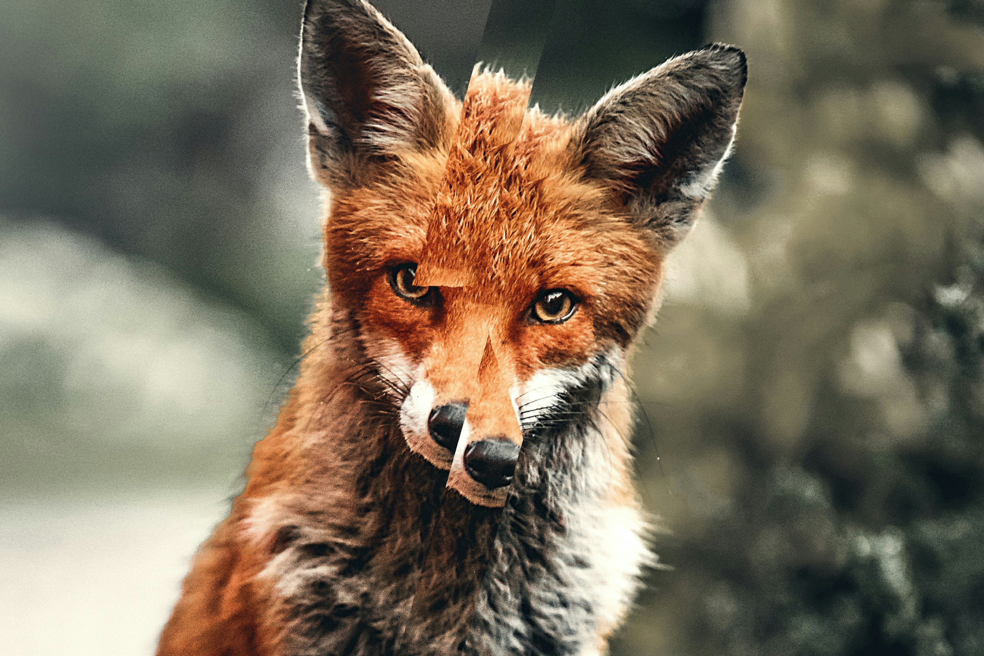 Glitch Photoshop Plugin gallery image