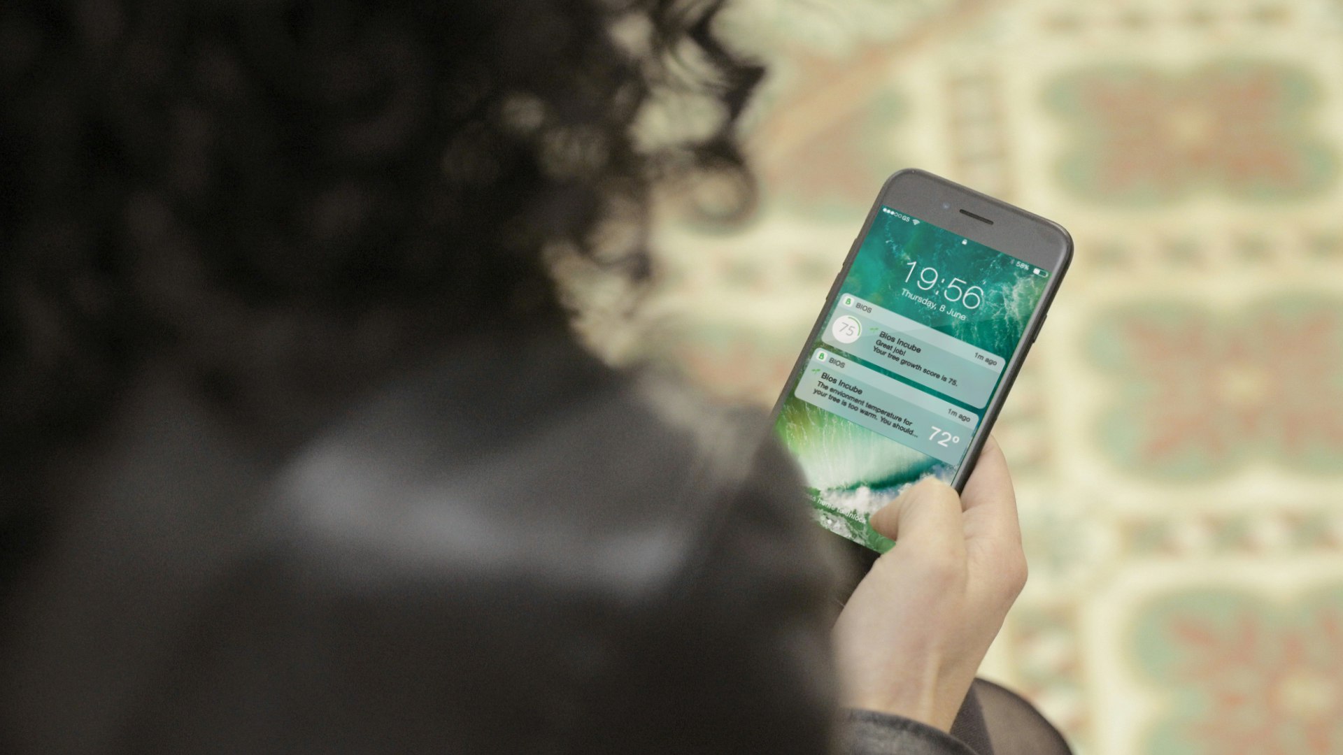 Bios Incube gallery image