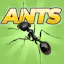 Pocket Ants