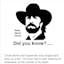 Chuck Norris Facts 