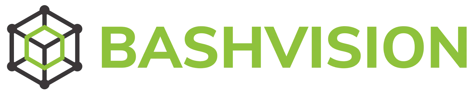 BashVision screenshot 1