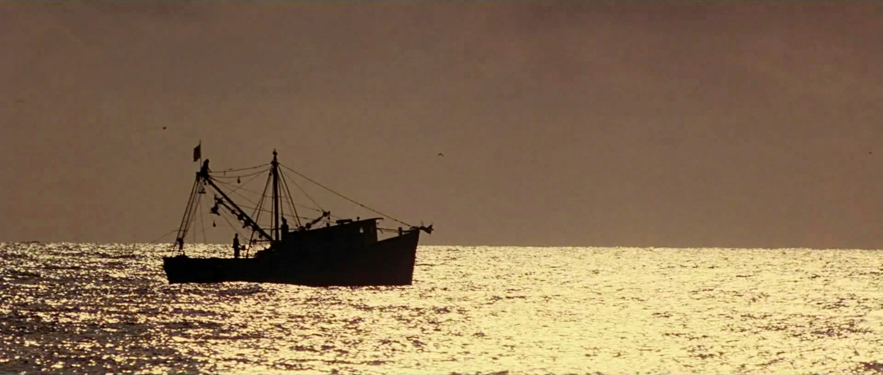 Filmle gallery image