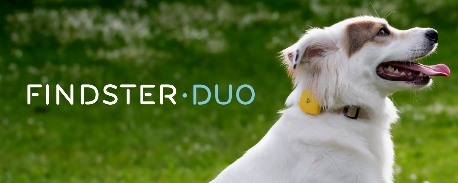 Findster Duo gallery image