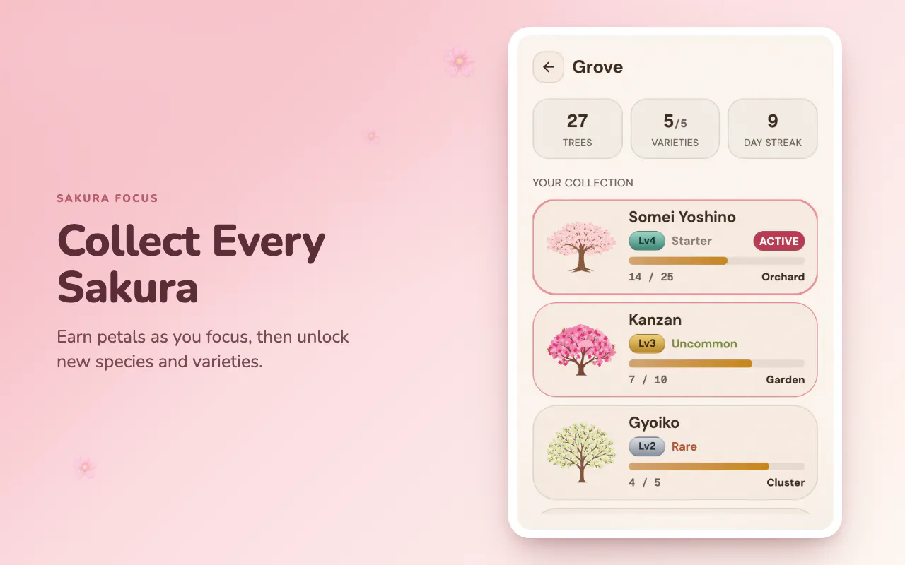 Sakura Focus gallery image