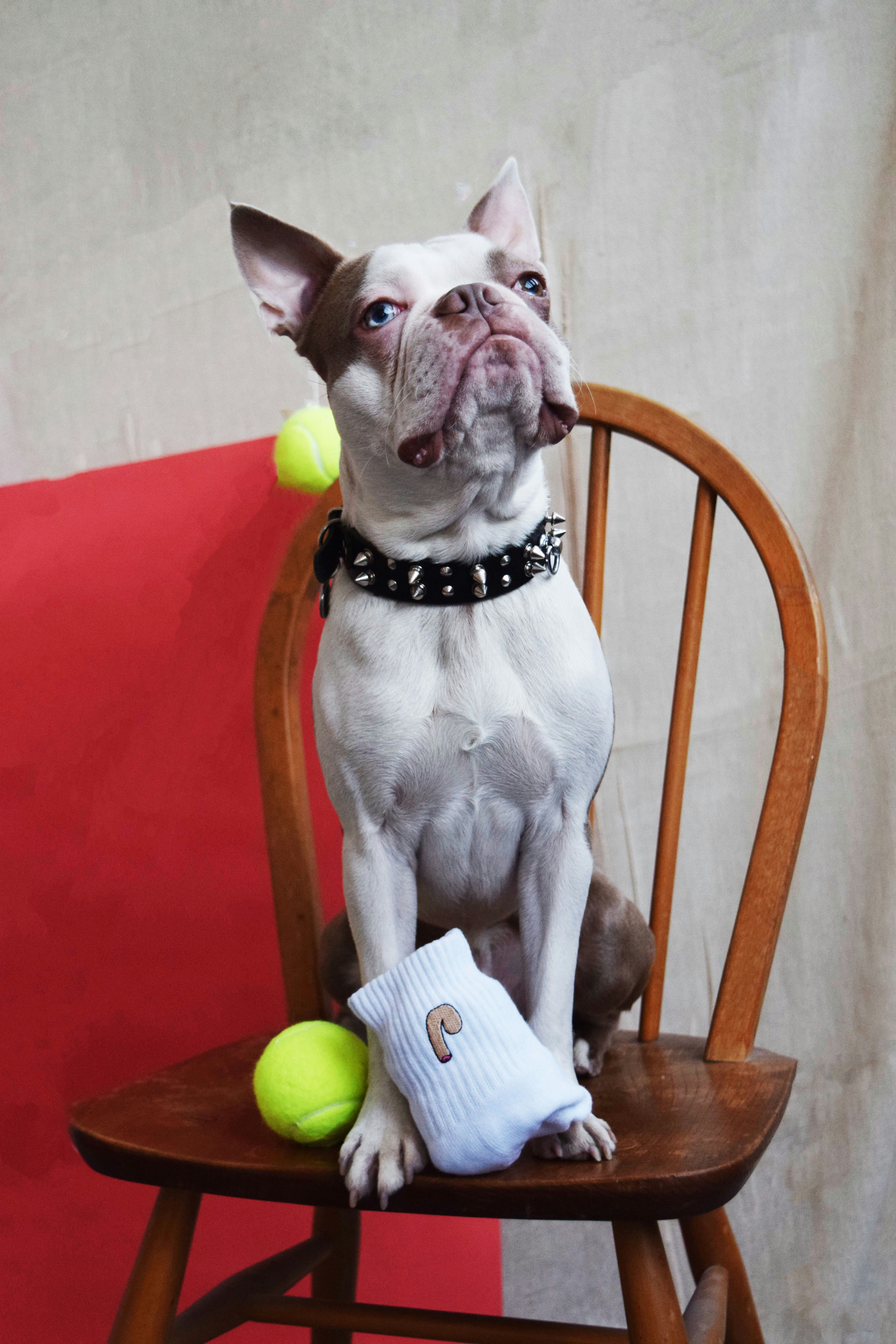 Socks with a cock on gallery image