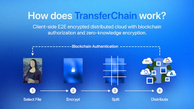 A shield symbolizing the safe and secure guarding of information with robust encryption.