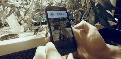 Kindbot Buddy gallery image