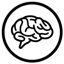 Brain.SG