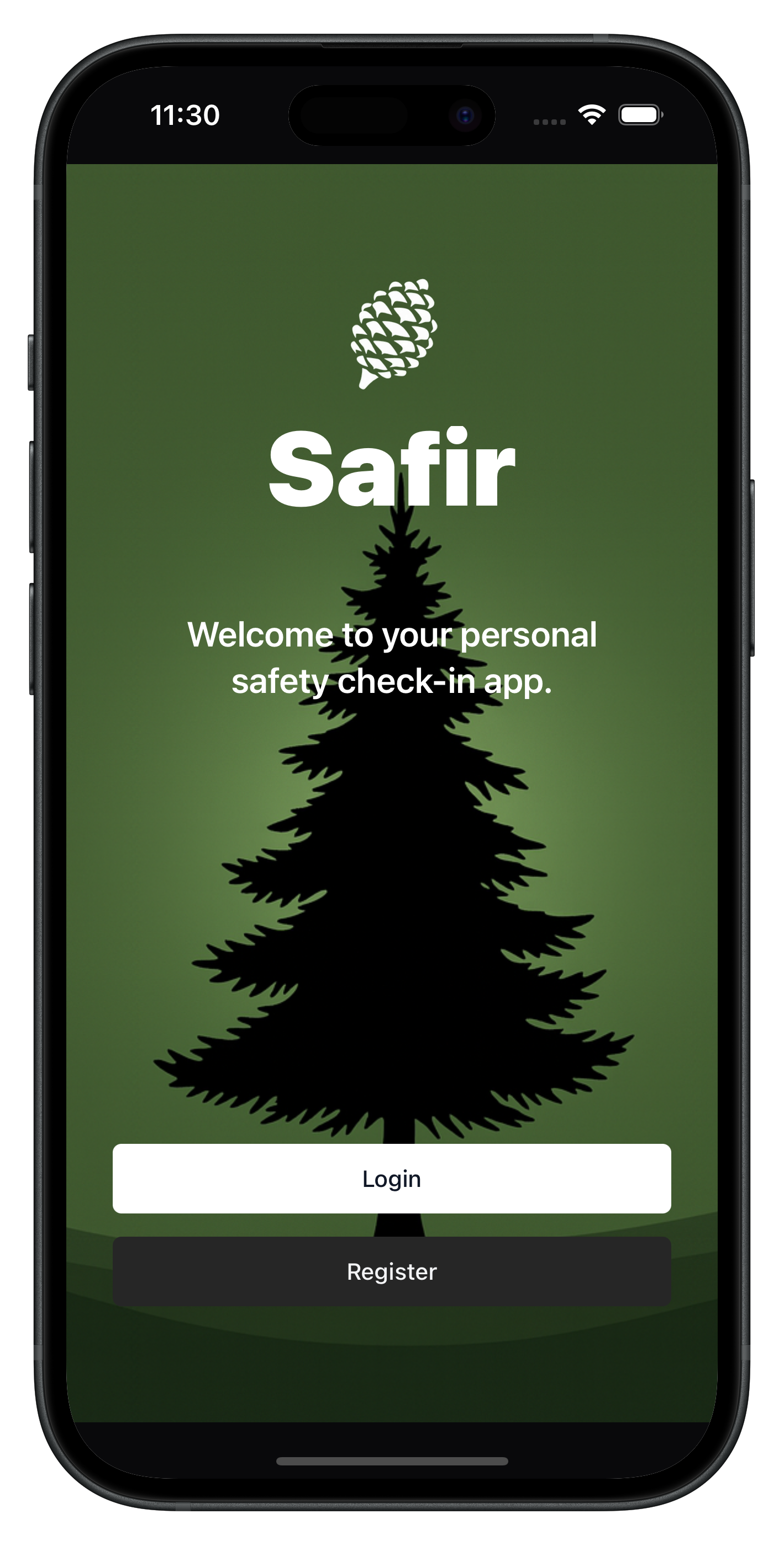 Safir gallery image