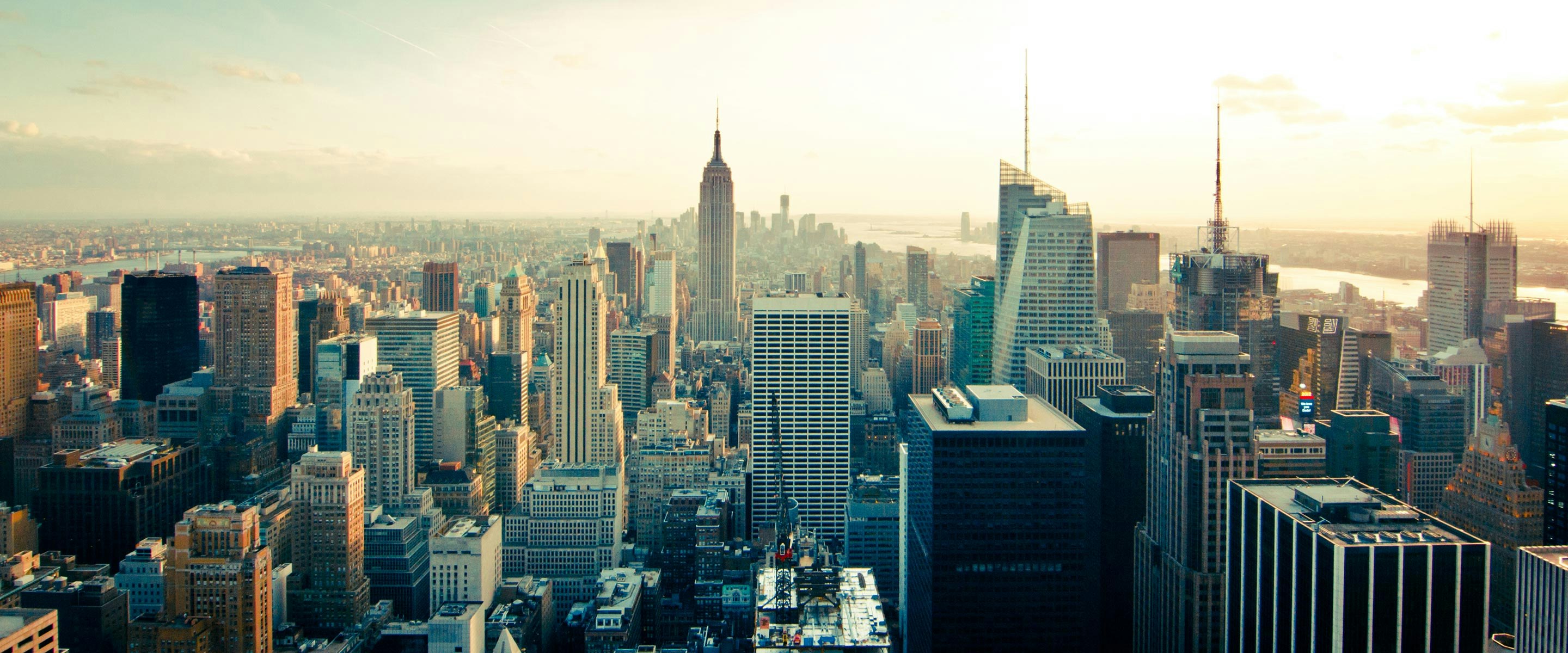 Brandtale gallery image