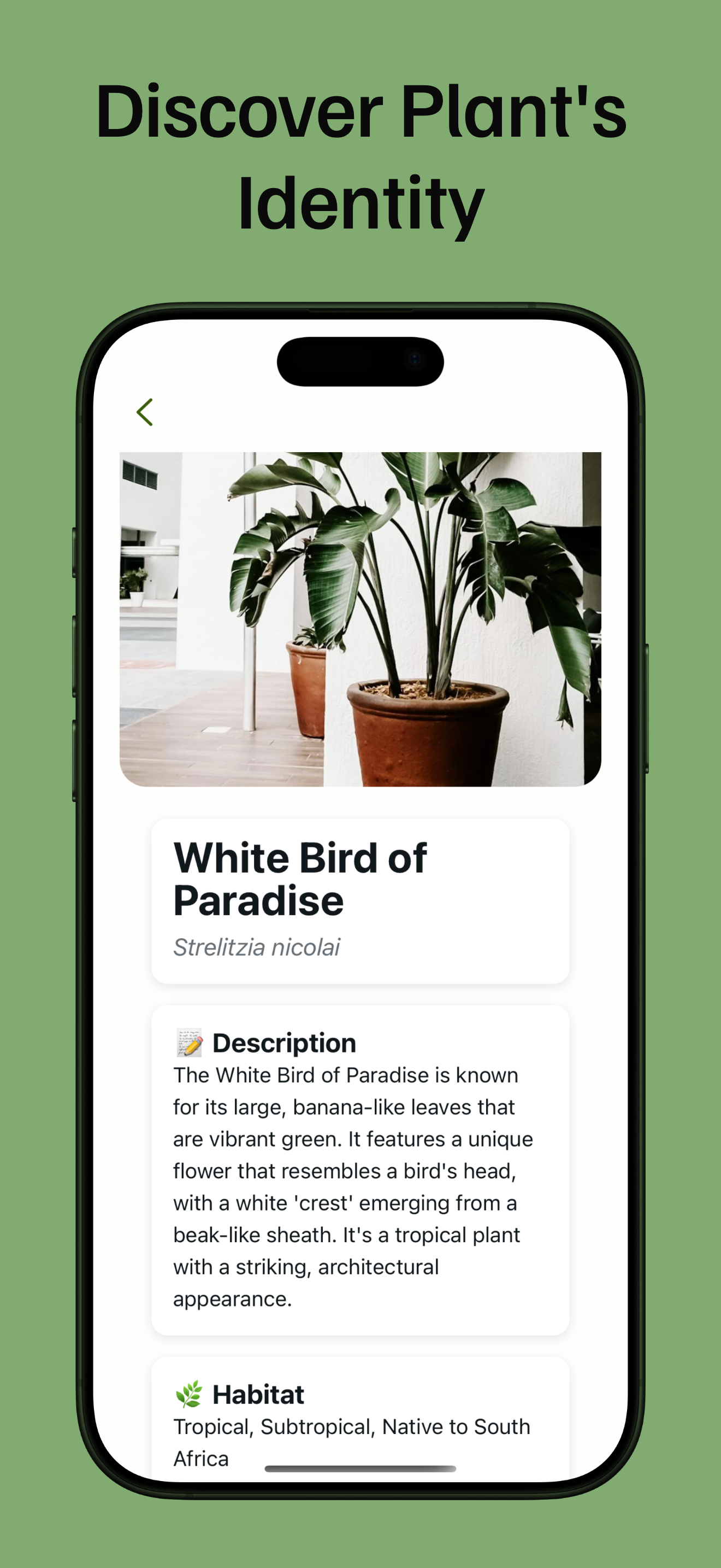 PlantLore media 3