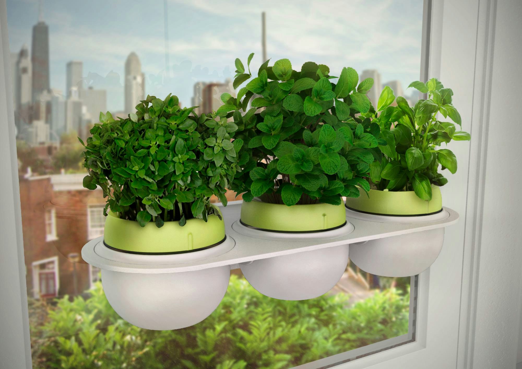 Droponic gallery image