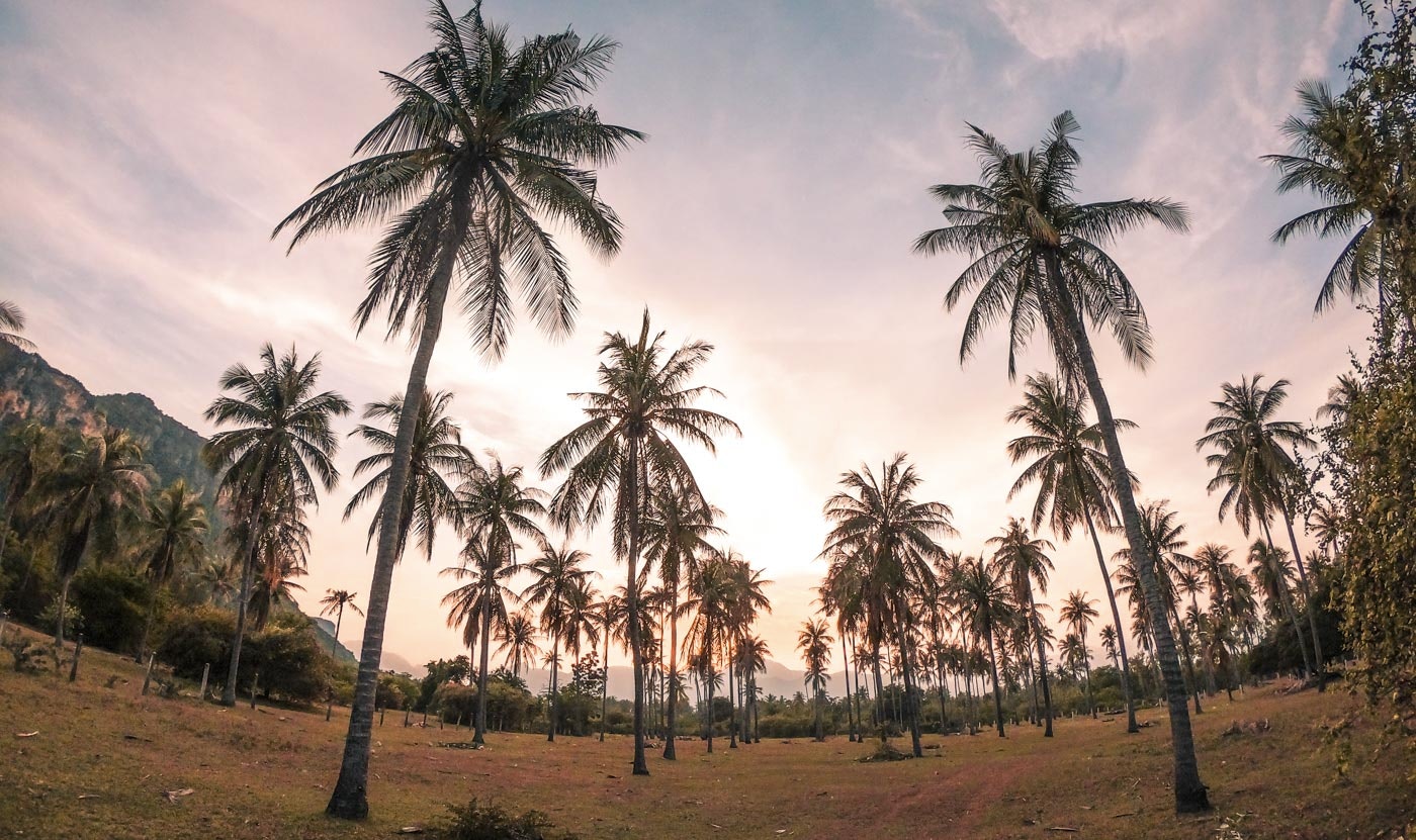 Extreme Nomads gallery image