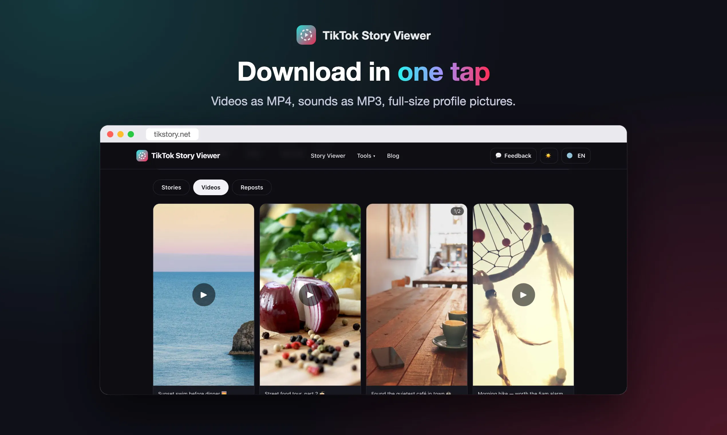 TikTok Story Viewer gallery image